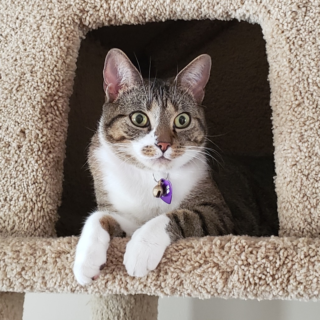 Maggie