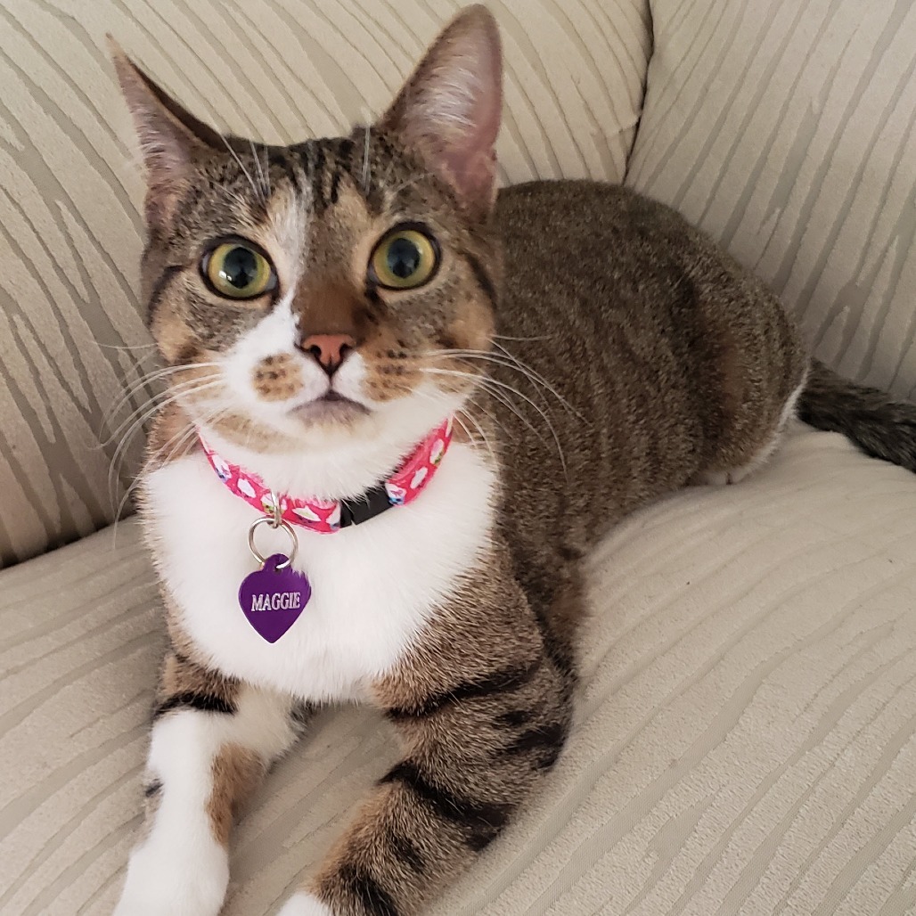 Maggie