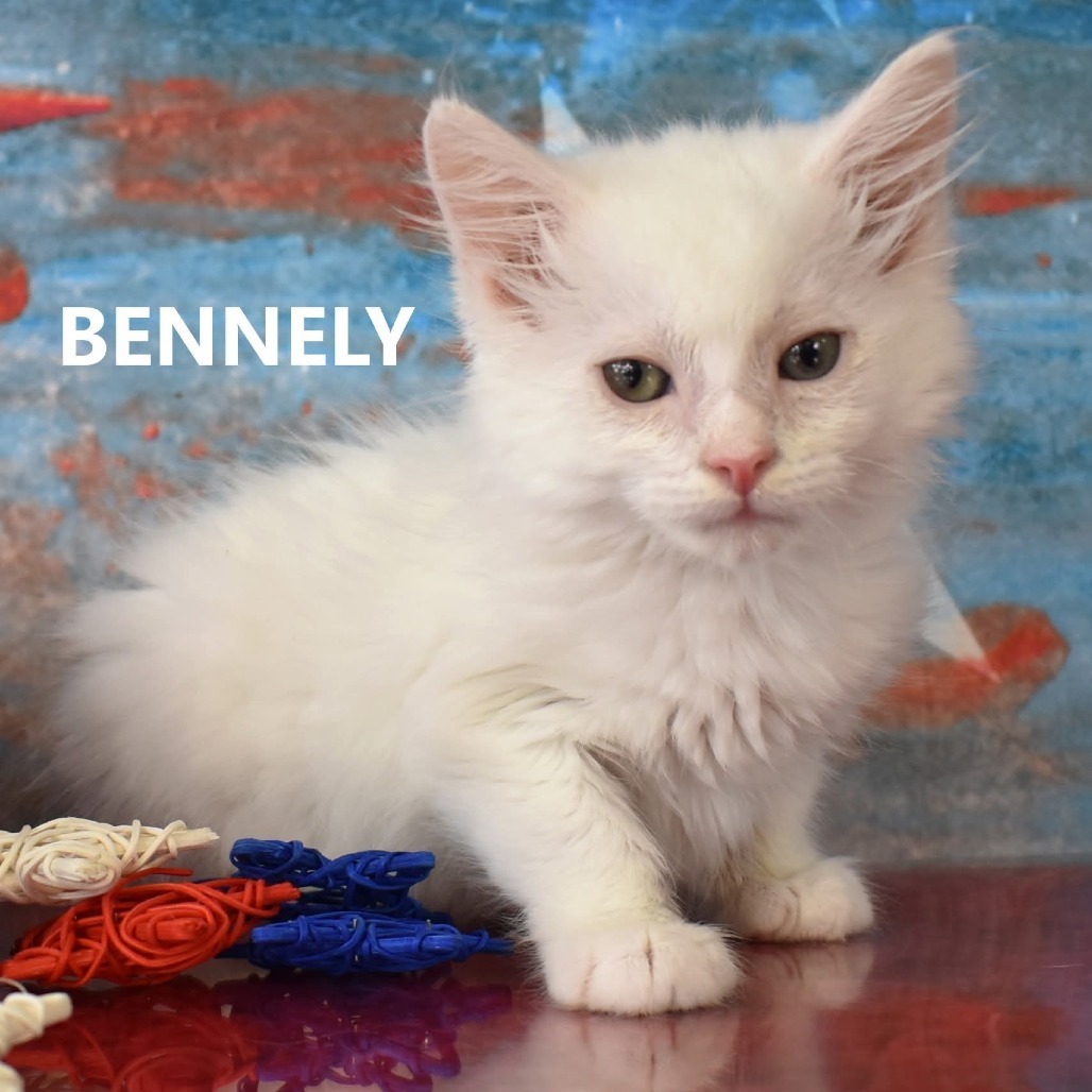 Bennely