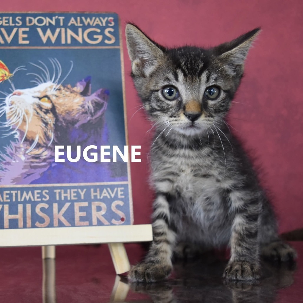 Eugene