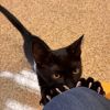 Steve photo 5