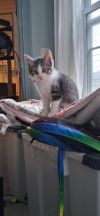 Bert photo 2