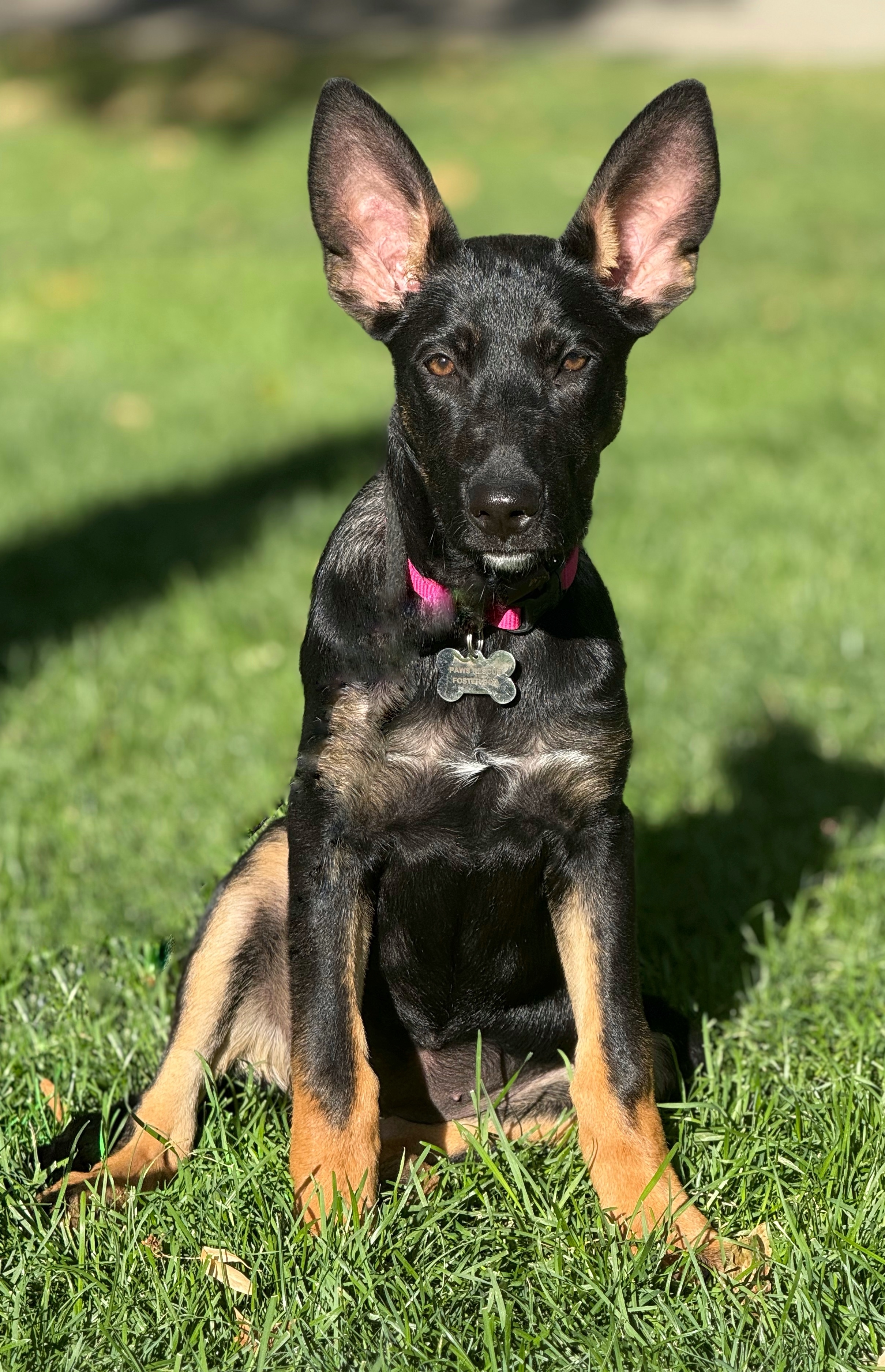 Millie