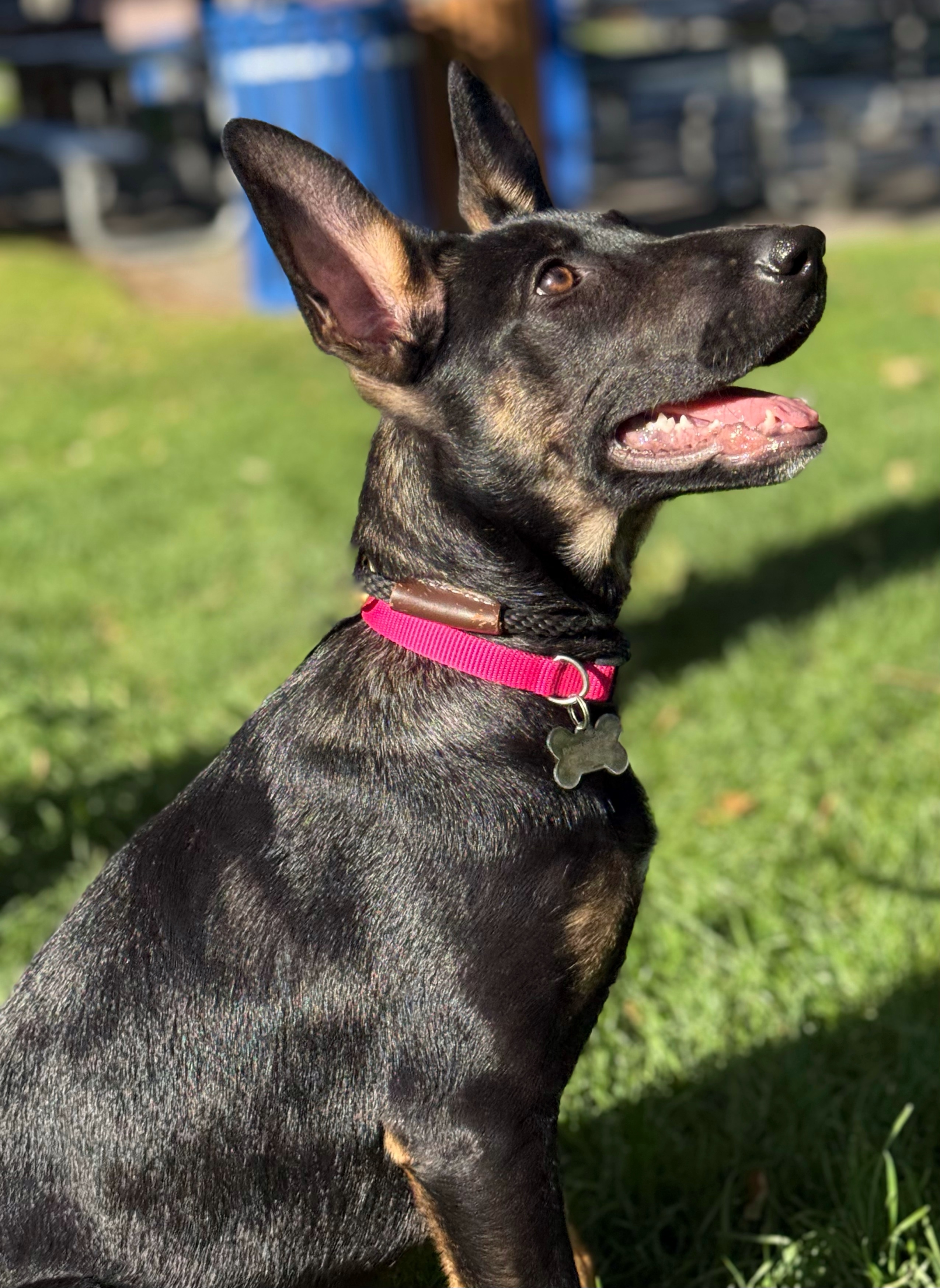 Millie