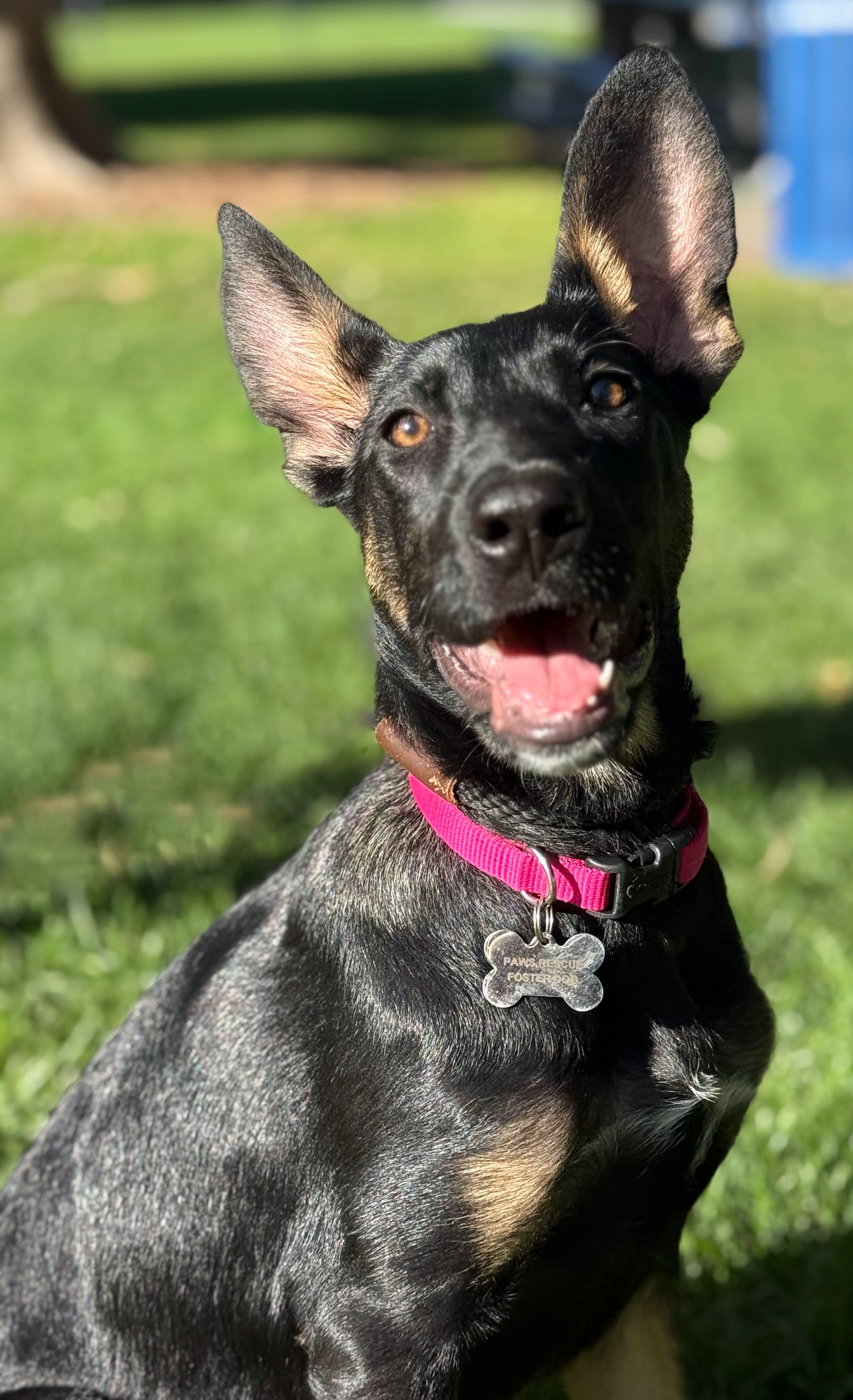 Millie