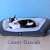 Count Tuxedo C25-192 photo 2