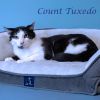 Count Tuxedo C25-192 photo 3