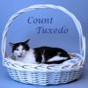 Count Tuxedo C25-192 photo 4