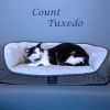Count Tuxedo C25-192 photo 5