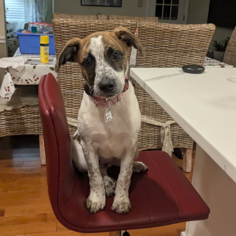 Reese
