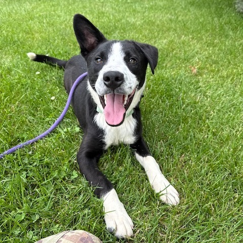 Tucker