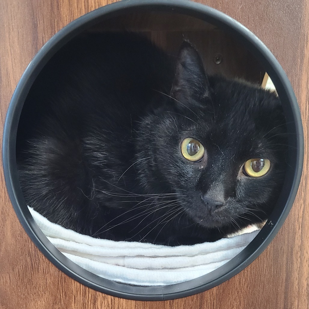 Luna