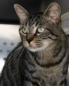 Tony photo 1