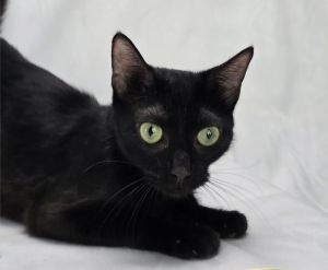 Gina