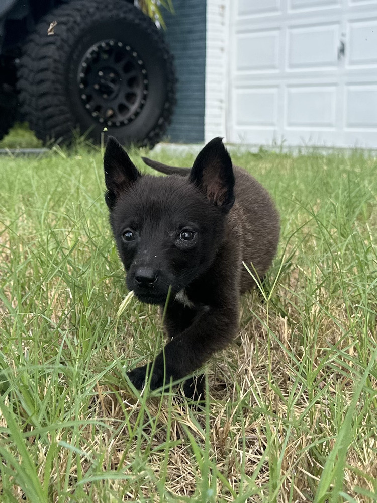Bennett - Located in Florida