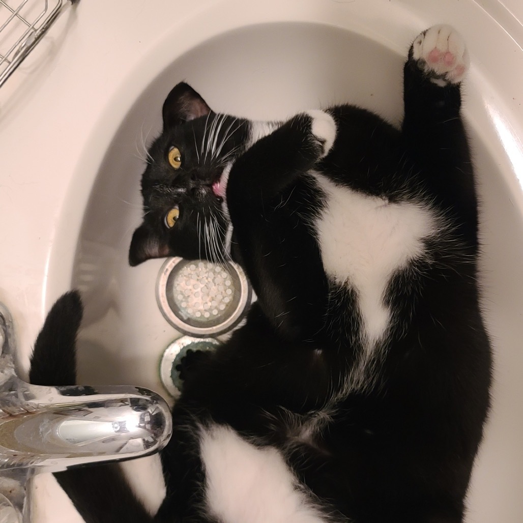Mia