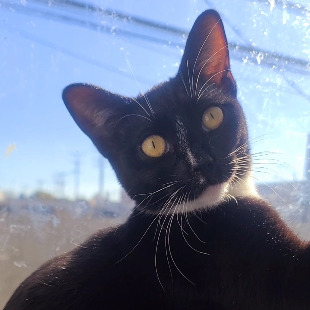 Mia