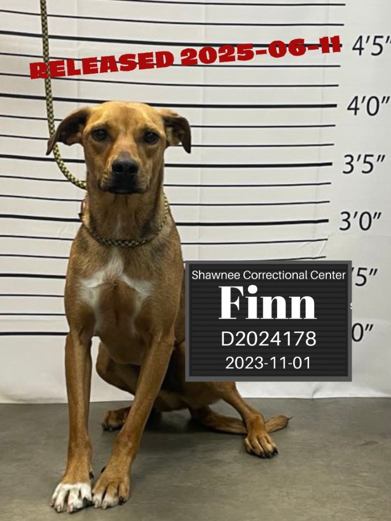 Finn