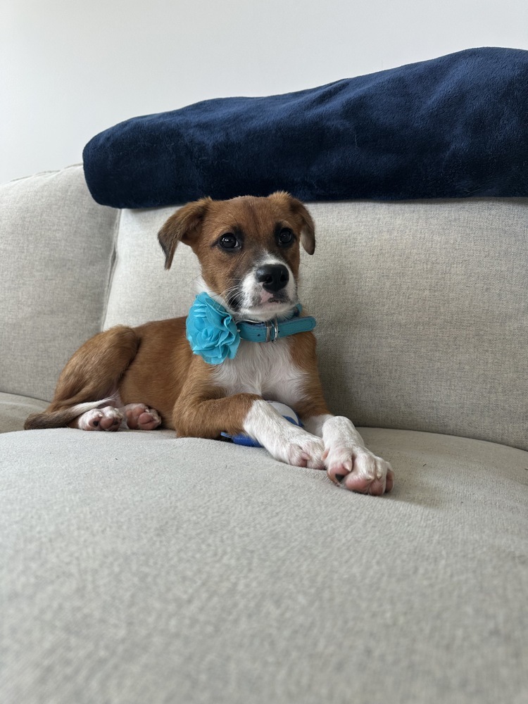 Baby Winnie