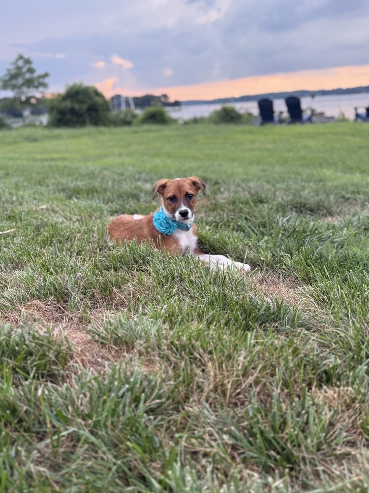Baby Winnie