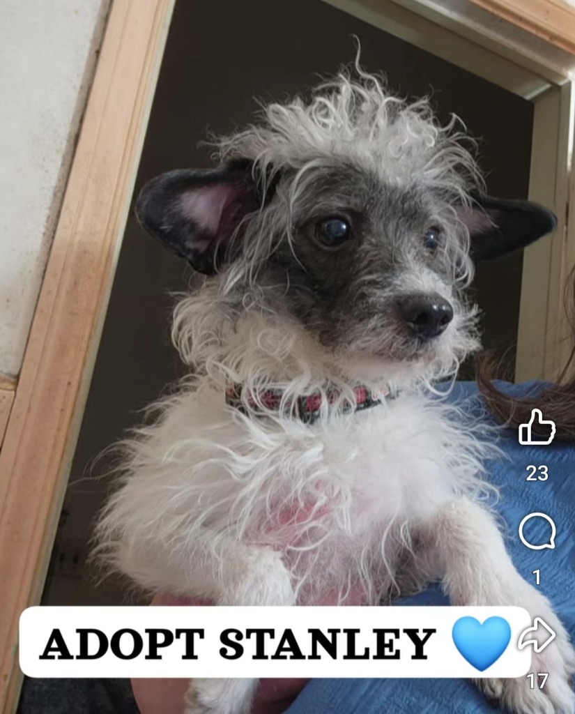 Stanley