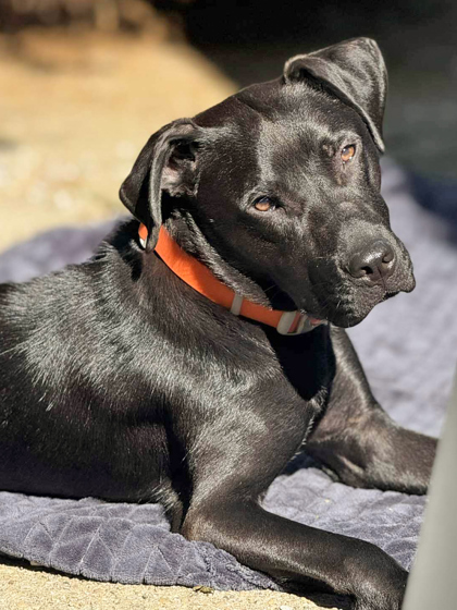 Edgar