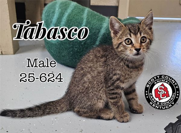 Tabasco photo 1