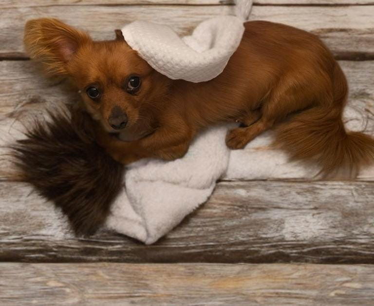 ROCKY