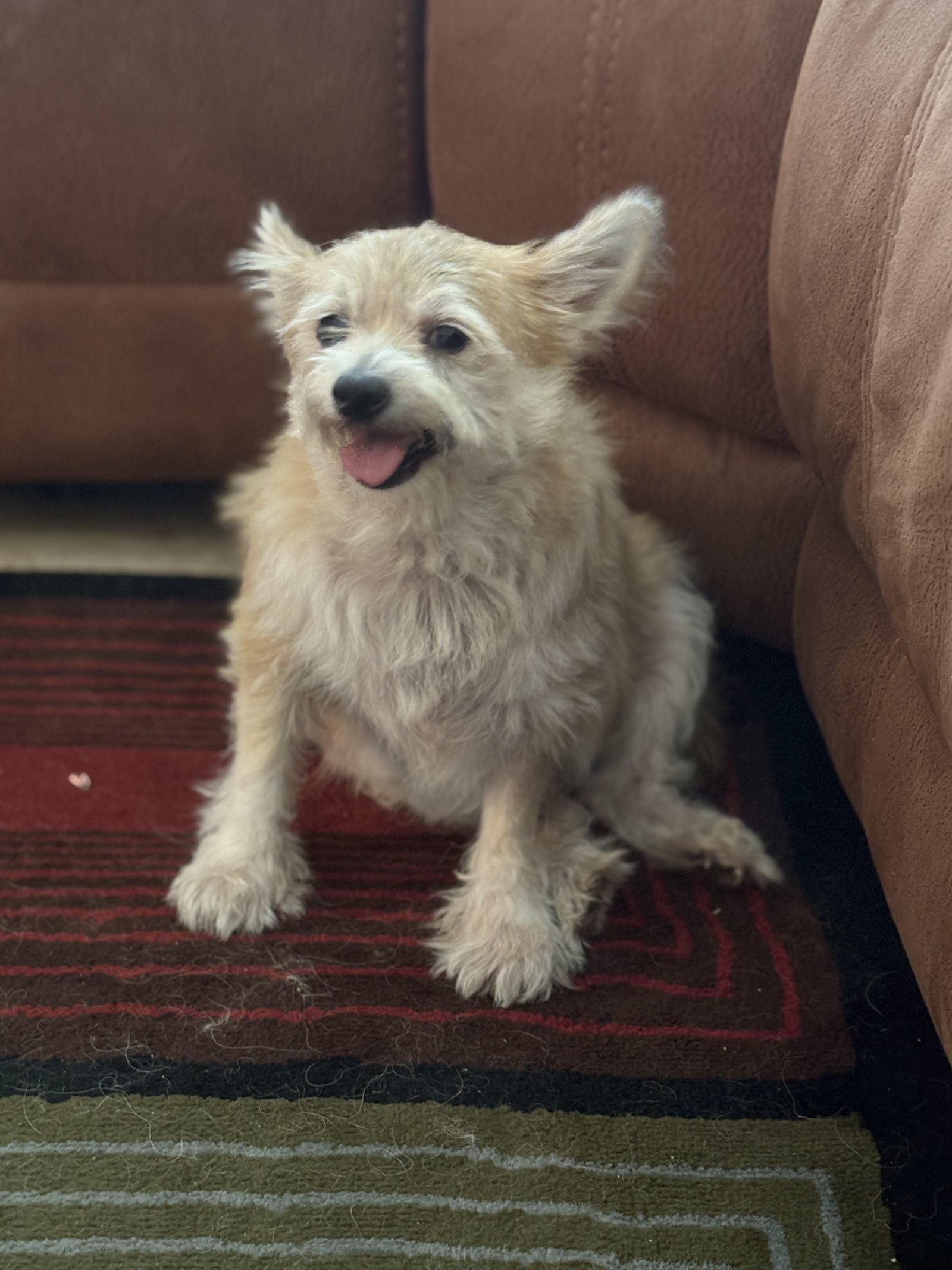 GIZMO