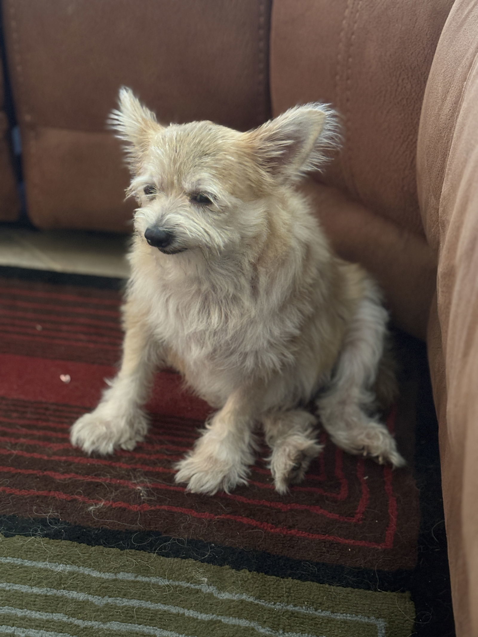 GIZMO