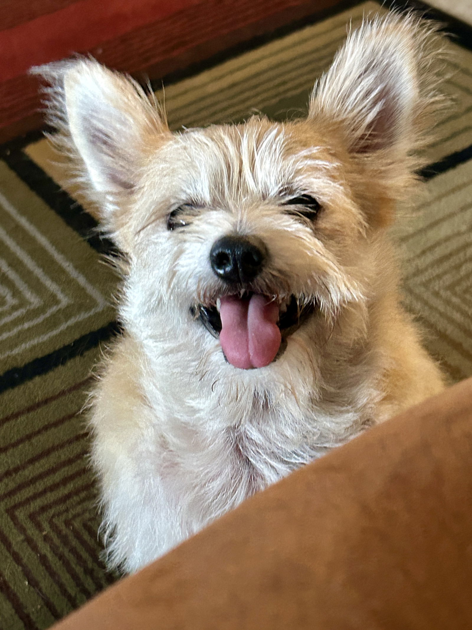 GIZMO