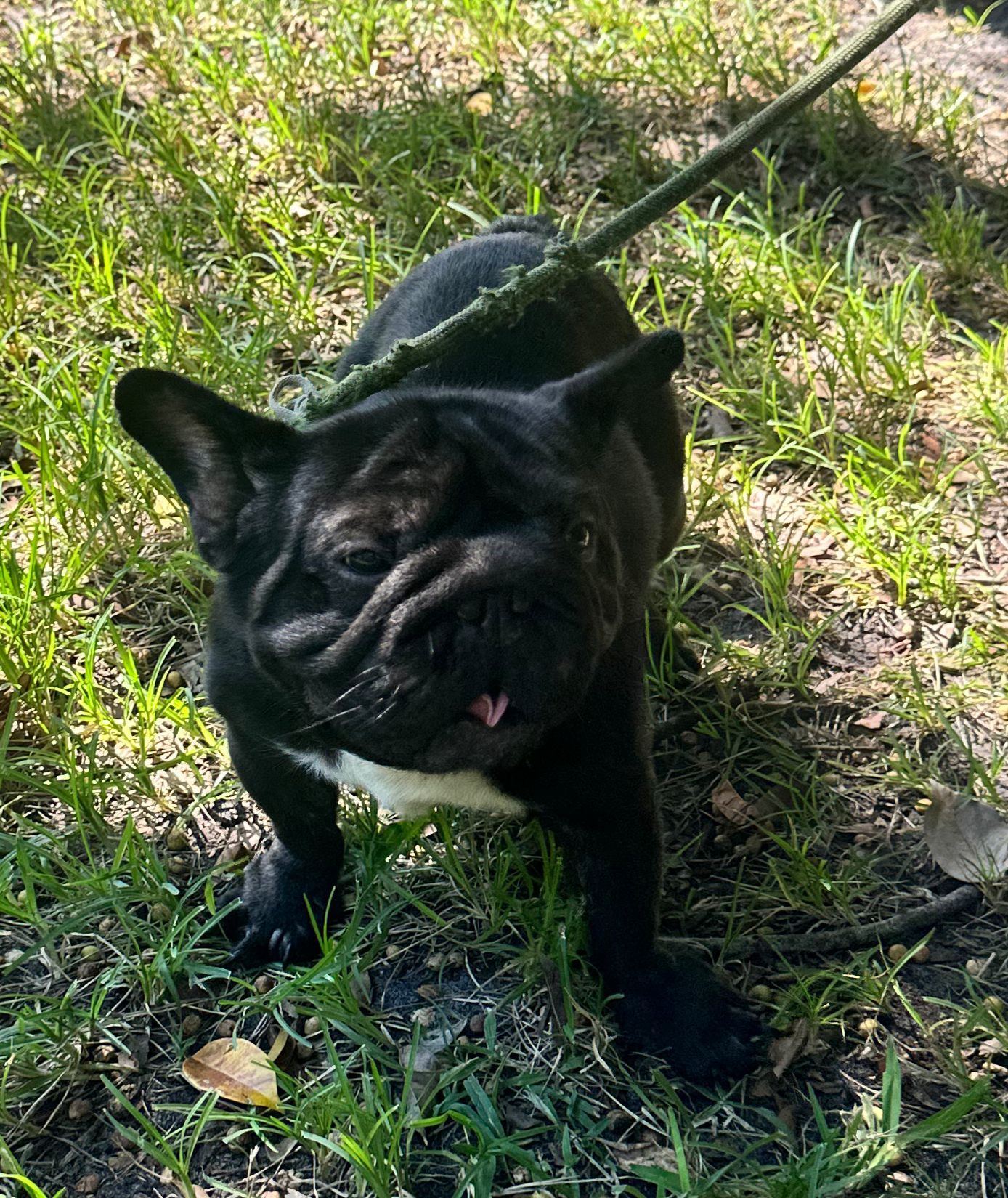 WALTER