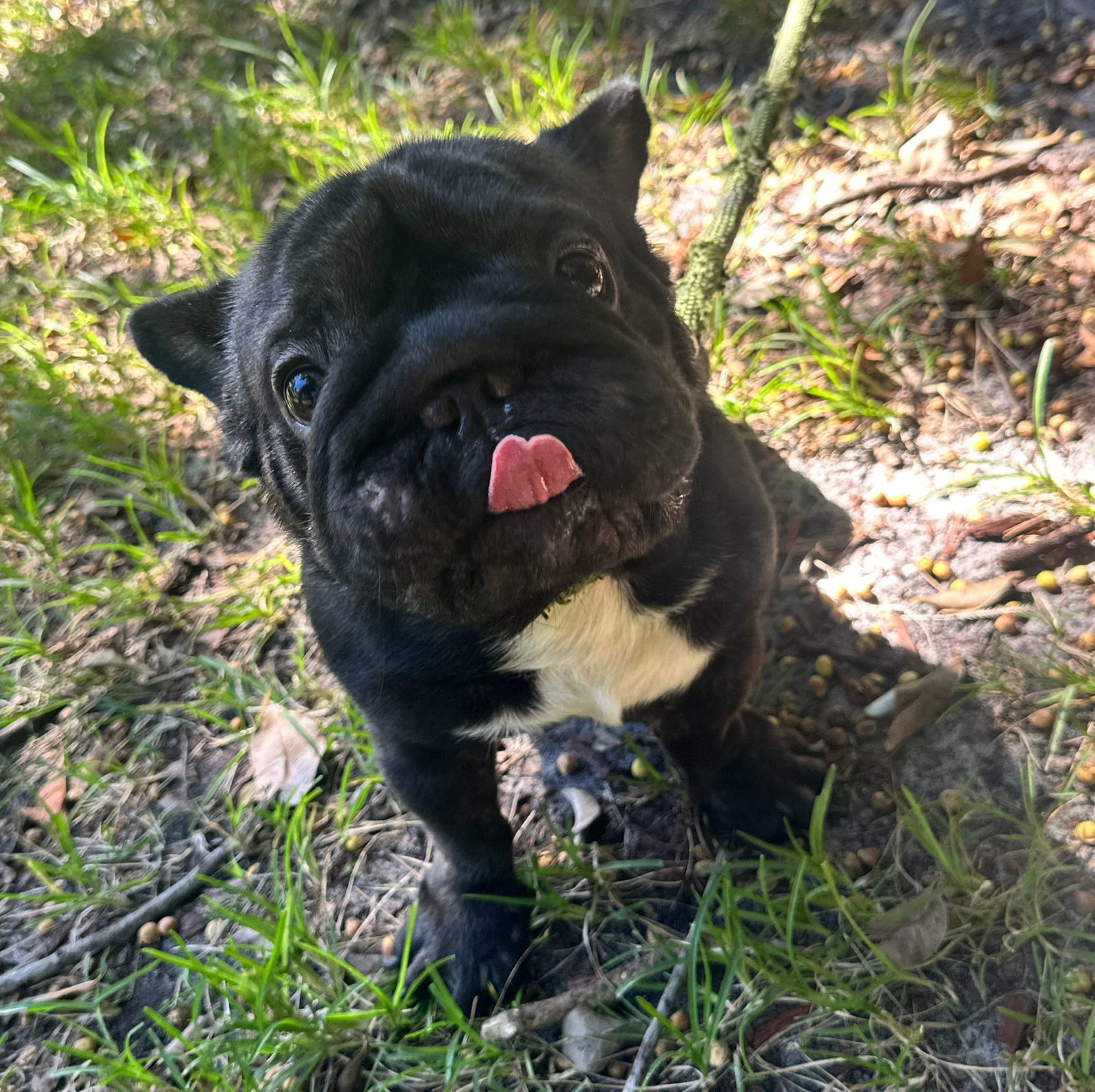 WALTER