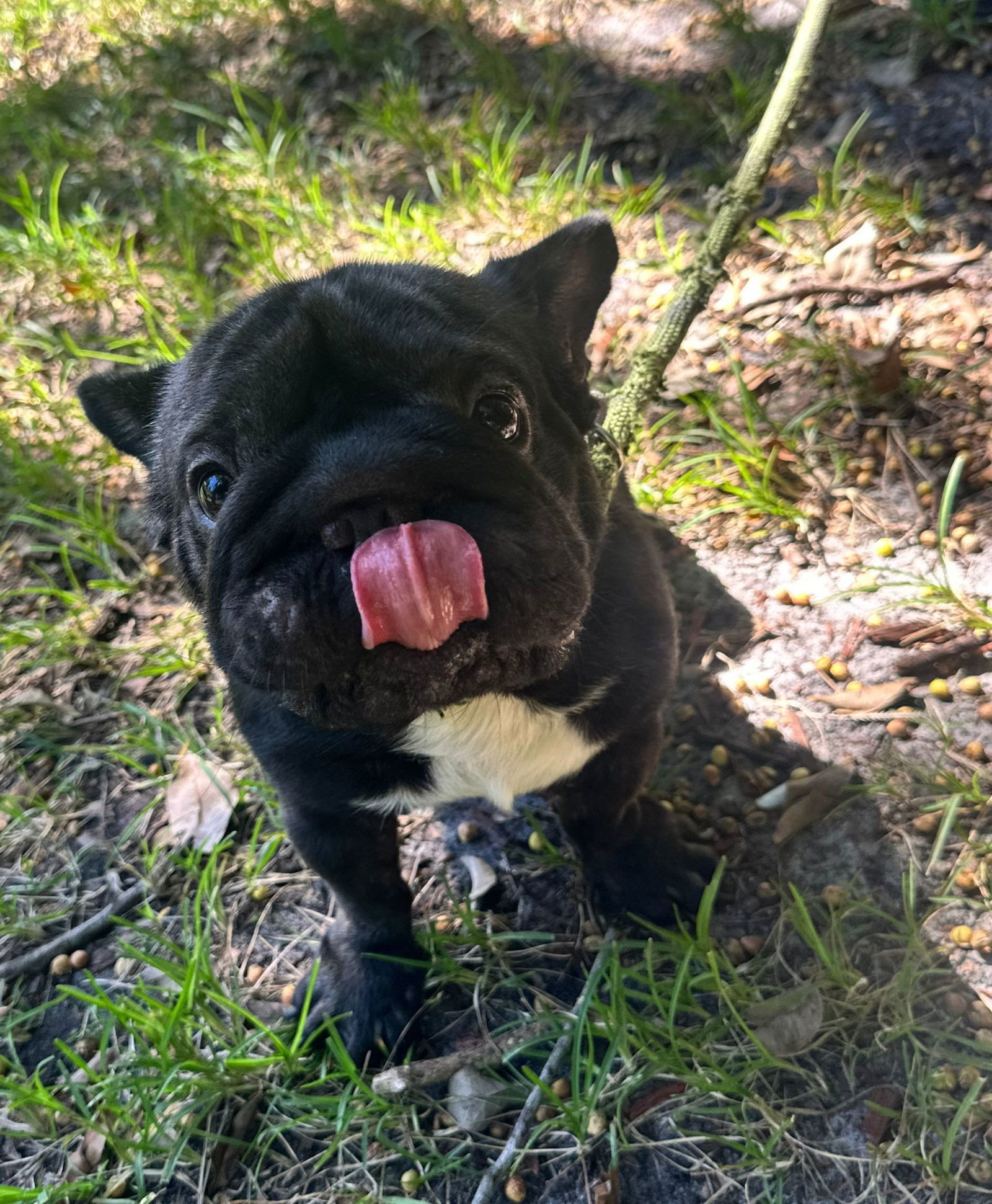 WALTER