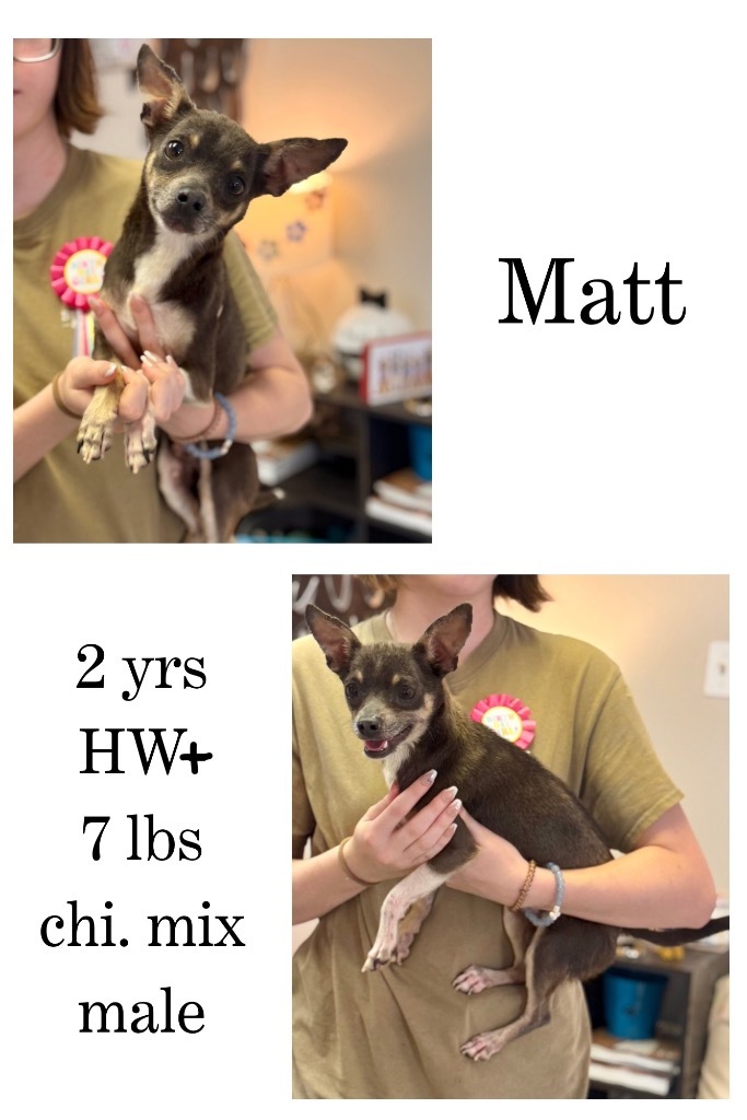 Matt