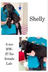 Shelly photo 1