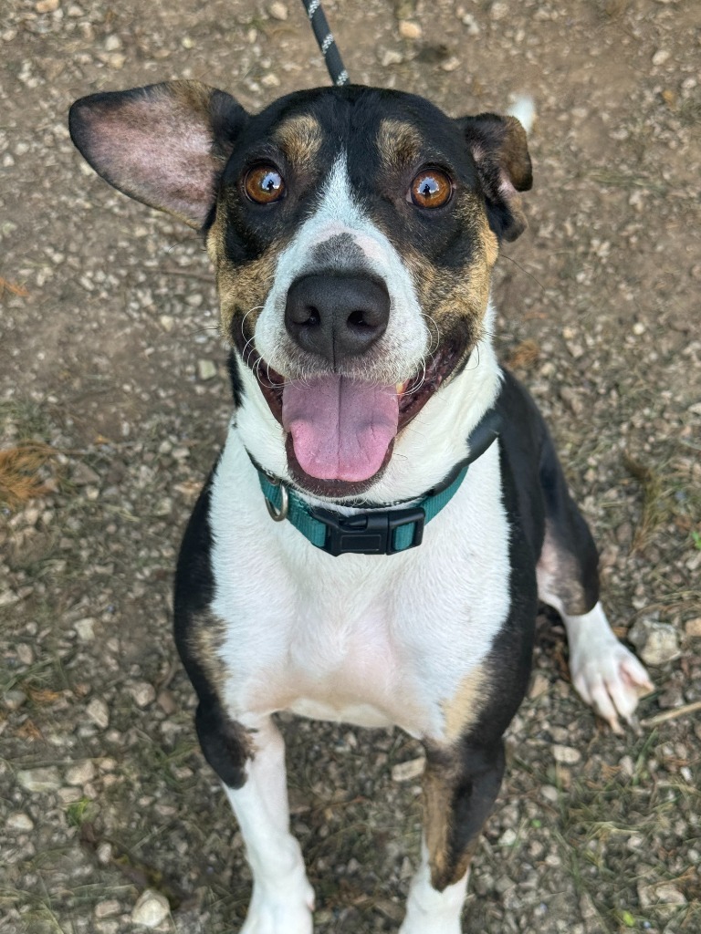 Jet