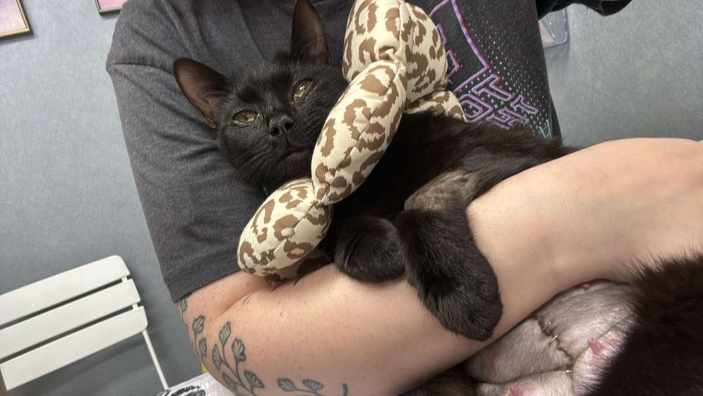 Mama Sable