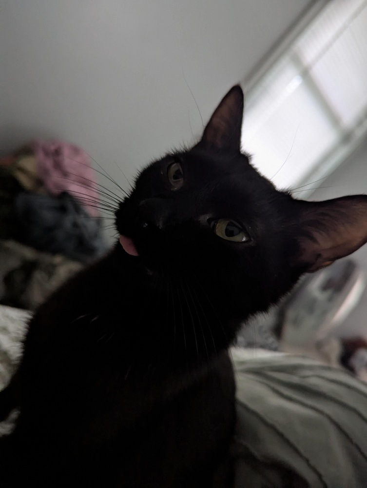 Mama Sable