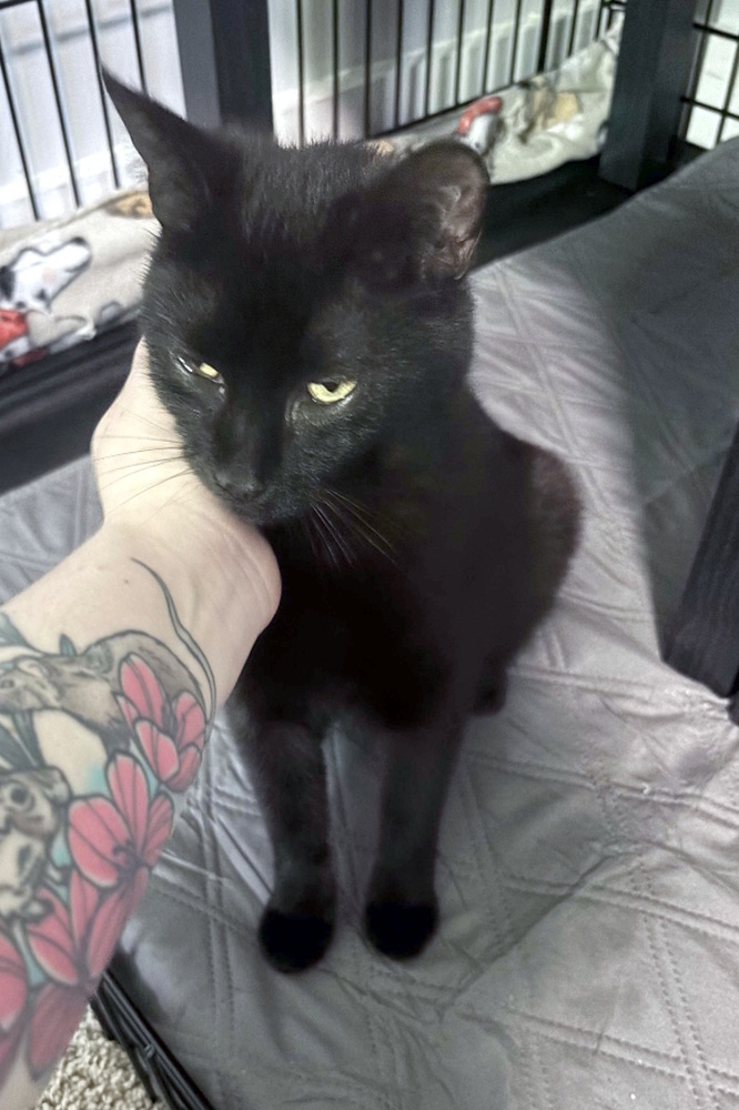 Mama Sable