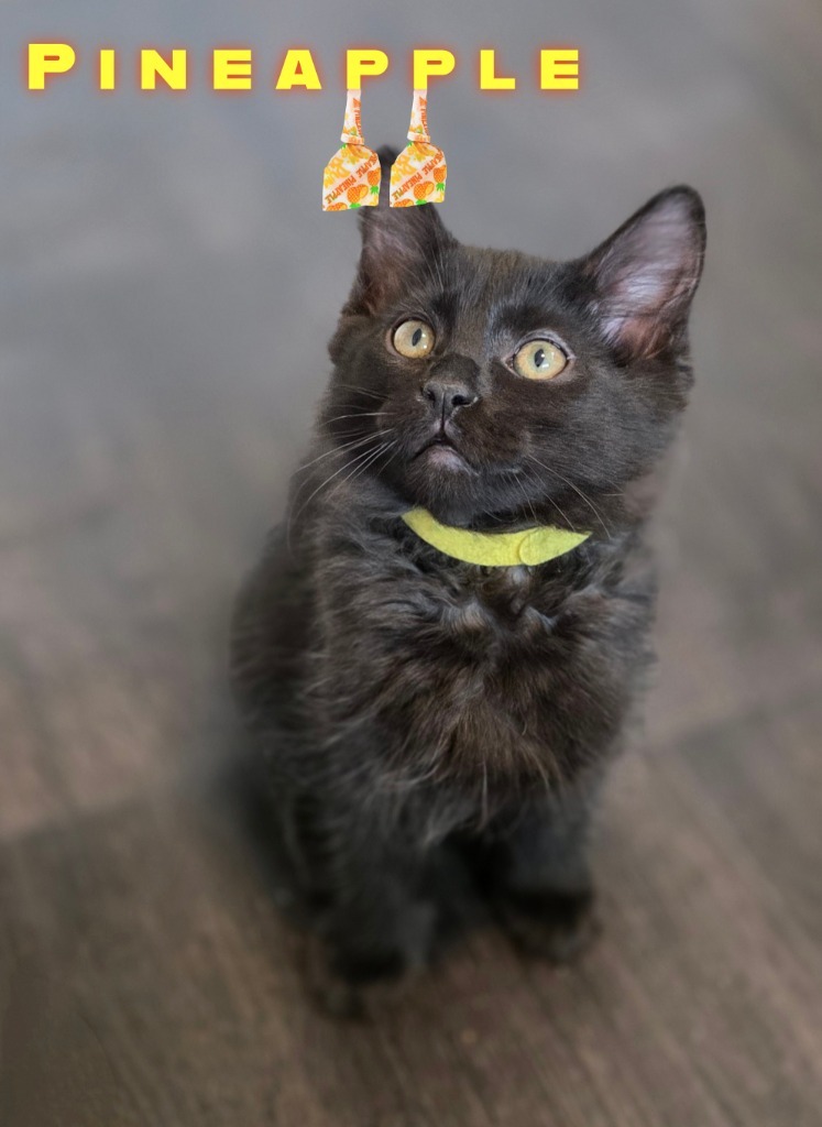 PIneapple