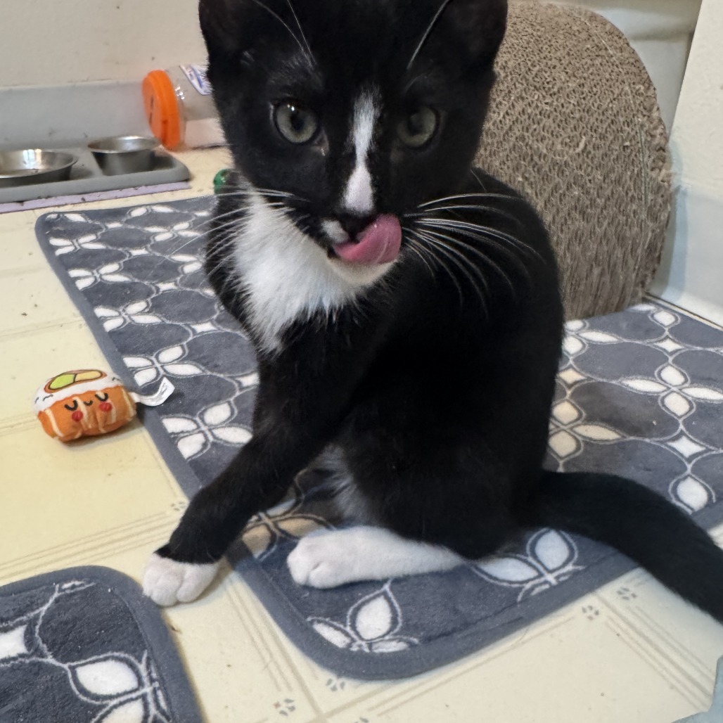 Cadbury