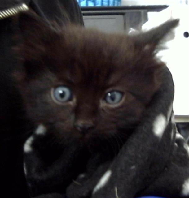 TILLY