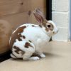 Cinna Bunn photo 1