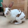 Cinna Bunn photo 2