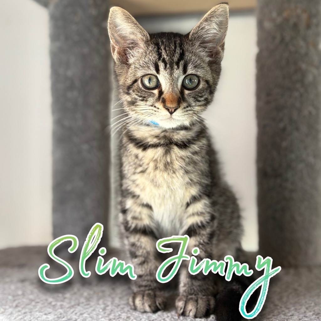 Slim Jimmy