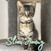 Slim Jimmy photo 1