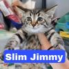 Slim Jimmy photo 2