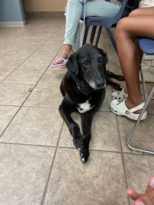 Guinness, Senior Male unknown