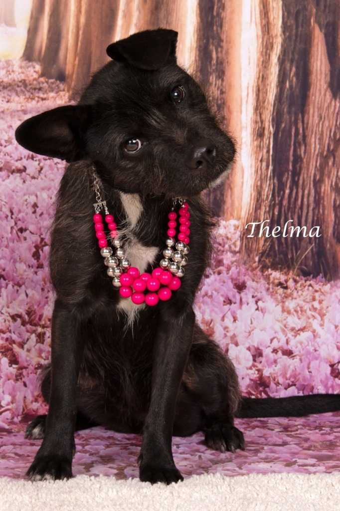Thelma
